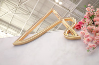 31. Aesthetic Society Booth